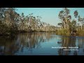 Find peace in the Noosa Everglades, QLD | Guided meditation (9 mins)