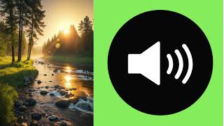 River And Forest Sound Effect