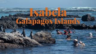 3 days DIY in Isabela, Galapagos Islands