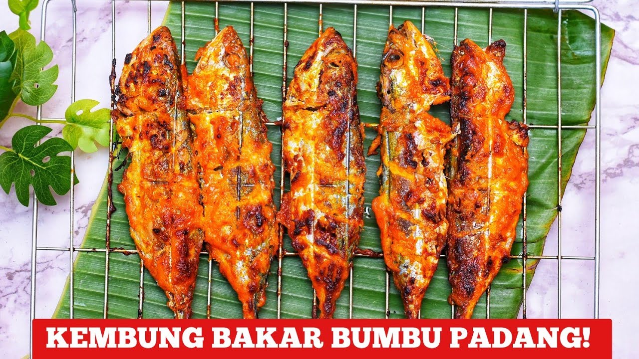 Ikan Bakar Padang Cara Bakar Ikan Pake Arang Diatas Kompor Youtube