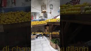 Download Lagu terucukan gacor MP3