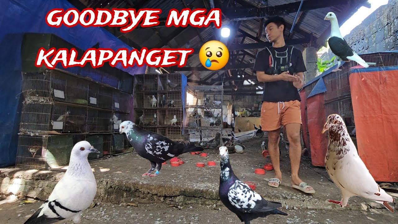 GRABE ANG GASTOS Paalam mga Kalapanget ko 😢