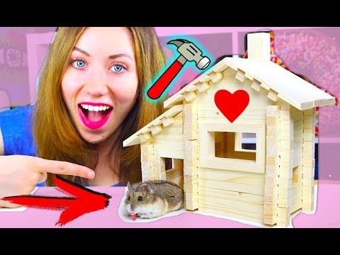 ПОСТРОИЛА ДОМ ДЛЯ ХОМЯКА ЕГО РЕАКЦИЯ НА ДОМИК | Elli Di Pets ПОСТРОИЛА ДОМ ДЛЯ ХОМЯКА ЕГО РЕАКЦИЯ НА ДОМИК | Elli Di Pets