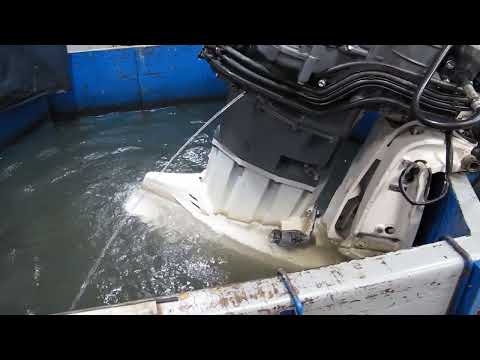 Suzuki df350atx расход
