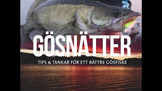 Gösnätter! Tips & tankar för ett bättre gösfiske(ENG SUBS)