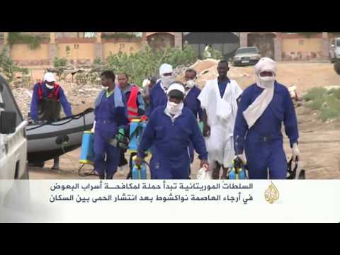 السلطاتُ الموريتانية تبدأ حملة لمكافحـة أسراب البعوض