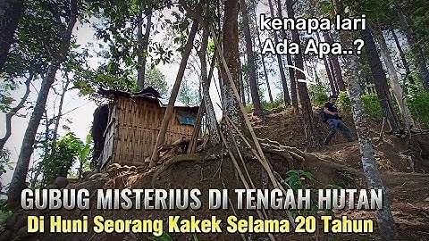 KAGET DAN KETEMU❗SEORANG KAKEK YANG HIDUP MENYENDIRI DI TENGAH HUTAN. BANJARNEGARA,JAWA TENGAH