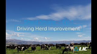 Herd Improvement - Shed Share - Episode 1