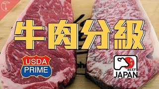 牛排如何分級Prime跟日本和牛一較高下克里斯丁聊料理