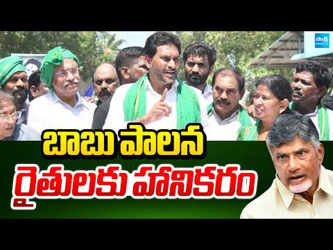 బాబు పాలన రైతులకు హానికరం | YS Jagan Comments On Chandrababu | Sakshi TV - SAKSHITV
