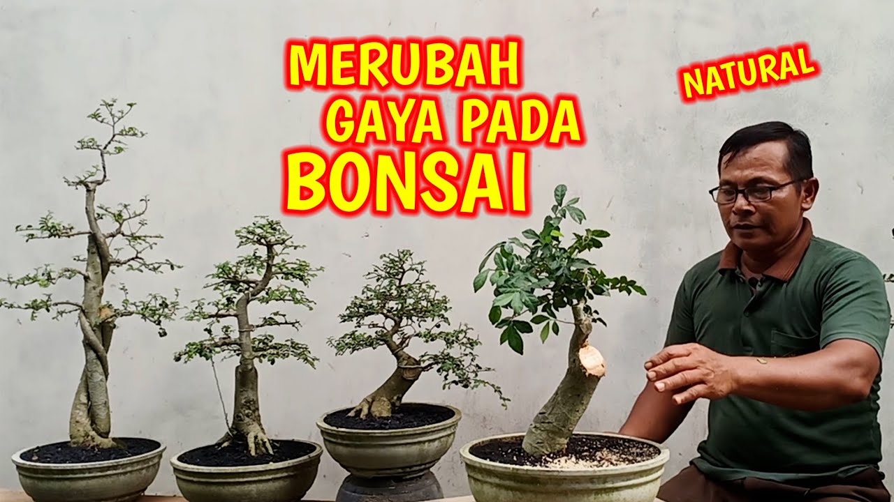 Eksekusi Gaya Bonsai Serut YouTube