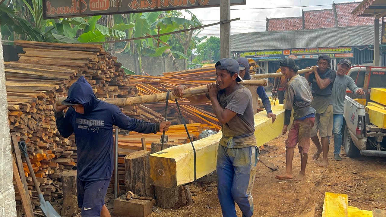 Windfall!! Expensive Old Jackfruit Wood Found in Java's Tropical Forest, Sawed and Sold Immediately