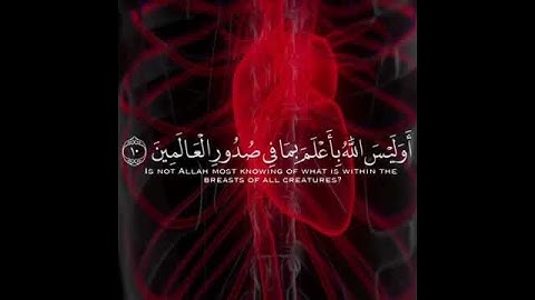سورة العنكبوت ،{أَوَلَيْسَ اللَّهُ بِأَعْلَمَ بِمَا فِي صُدُورِ الْعَالَمِينَ} بصوت عبدالرحمن مسعد