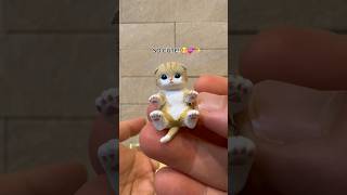More more more Mofusand goodies!!😻#mofusand #cute #cutecat #cuteanimals #gacha #collectibles
