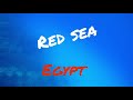 Мой дайвинг в Красном море 🌊. Шарм эль шейх. Дахаб. Южный Синай. #экскурсиивегипте #дайвингвегипте
