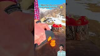 Wilderness Cooking: The Ultimate Crunch Test! 🍗🏔️#shorts #asmr #cooking #recipe #chicken #food