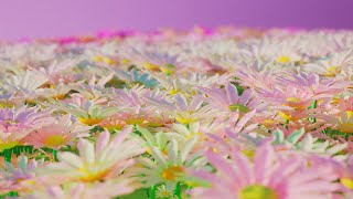 Mardini 2022 | Day 31 Solaris Material Variation