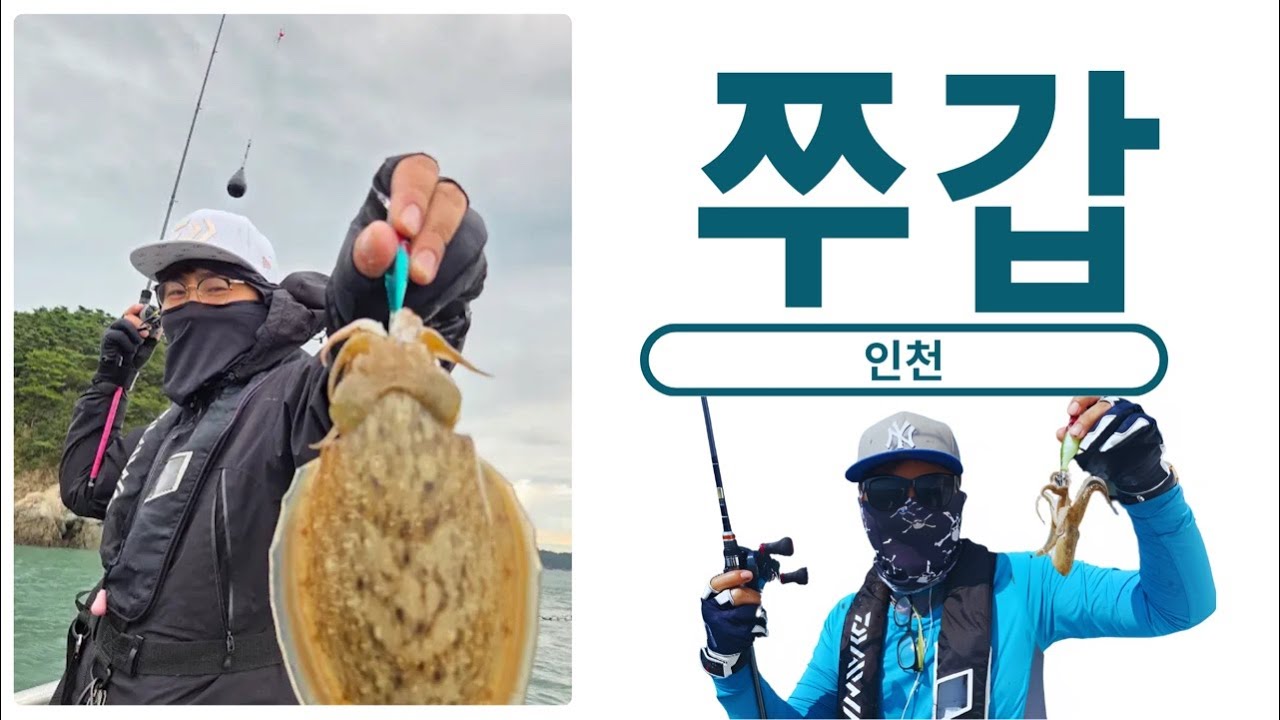 인천 쭈갑 행님들 혹시 이사 가셨어요?