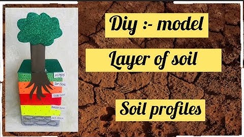 Soil layer model easy idea | Soil profile model school project | Layers of soil project making idea
