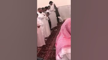 فيديو قصير لترتيل جميل جدآ بمحاكاة للحيدان بصوت القارئ عبدالرحمن ناجي