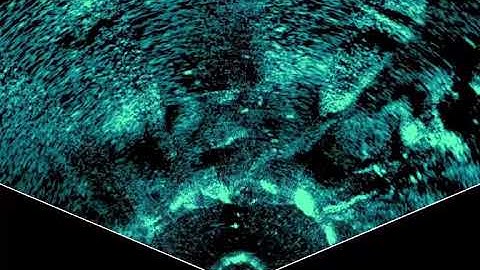 Active Target Scout Mode