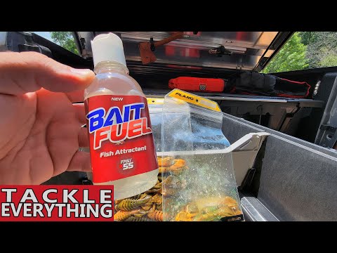 Bait Fuel - A TRUE Test 