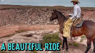 Salty Mare at work | MUDDY rodeo