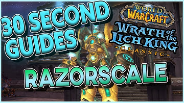 Razorscale  - Ulduar - 30 Second Guides