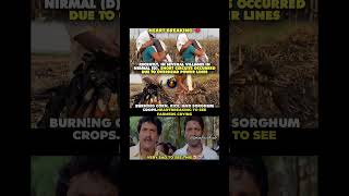 Farmers Lost Everything… 💔🔥 #shorts #farmers #india #viral #emotional #agriculture #fire #trending