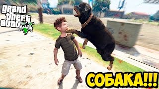 РЕБЕНОК УБИЙЦА ПРОТИВ СОБАКИ В GTA 5 - GTA 5 CHILDREN MODS - ШОК!