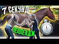 7 СЕКУНД ЧЕЛЛЕНДЖ  (Конная версия) ВЫЗОВ ПРИНЯТ / Коноблог