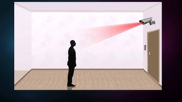 IP Camera Face Identification Demo