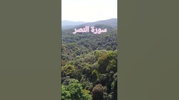 سورة النصر #قرآن #قران_كريم #يوتيوب #حالات_واتس #emotionalstory #quran #whatsappstatus #emotional