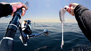 Deadly bait, Big results! Insane deep water FISHING