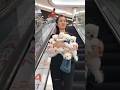 Cute Girl #Enjoying with Little #Puppy &amp; Pets | Pure #Love &amp; Happiness Video