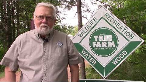 Tree Farm 2020 Virtual Field Day: Part 1 Chuck