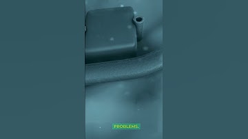 These are the 3 rare but serious side effects of statin medications