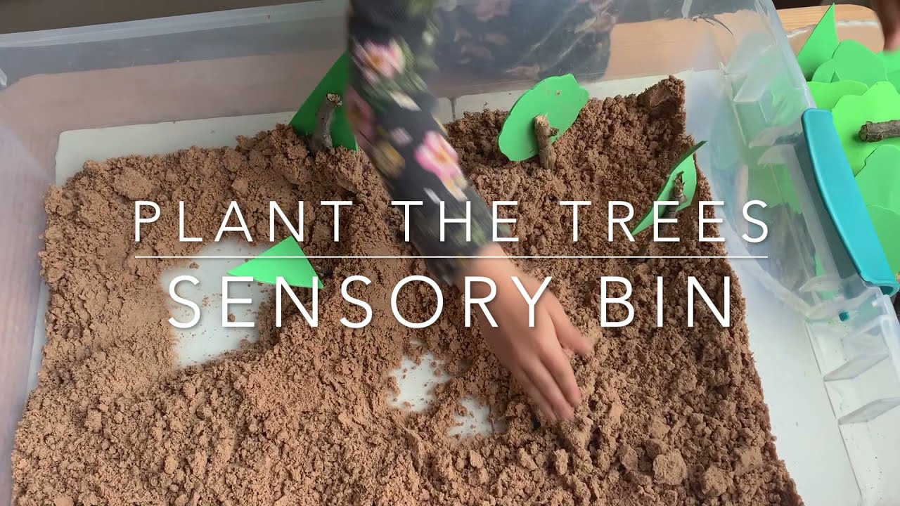 Planting Trees Sensory Bin For Earth Day- Sensory Bin Activity for Kids ...