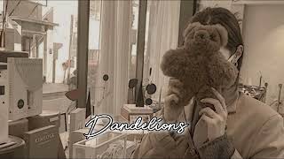 Unconditionally X Dandelions (Lyrics) Slowed Version Unconditionally X Dandelions (Lyrics) Slowed Version