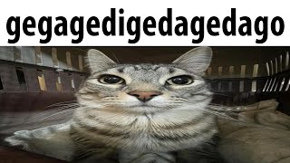 gegagedigedagedago