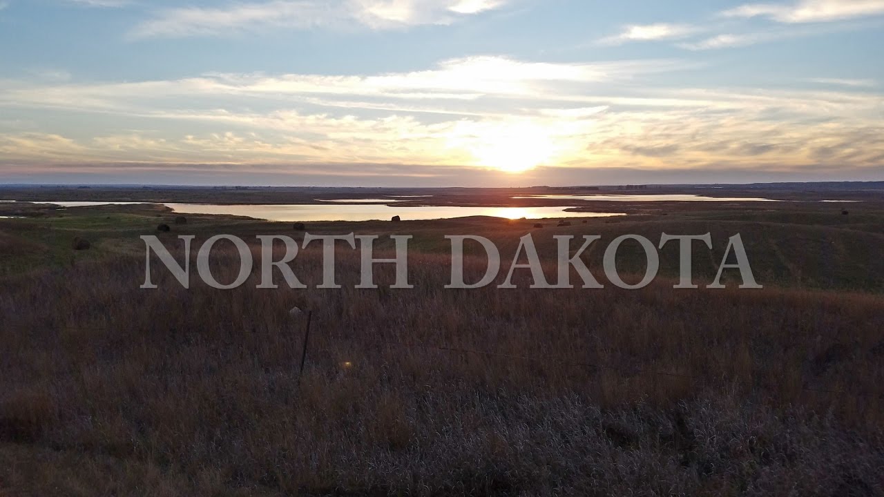 North Dakota Waterfowl Duck and Goose Hunting YouTube