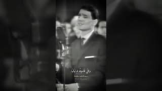 #عبدالحليم_حافظ|وصيتك وصية ياشاهد عليا تحكي له عـ اللي بيا واللي قاسيته في لياليا#حليمات_سواح_ستوري