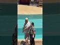 He knew and he wait 😹 Tom the mime Seaworld #seaworldmime #funny #fun #viral #comedy