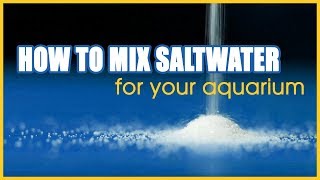 How to Mix Saltwater for Your Aquarium: A Step by Step Tutorial