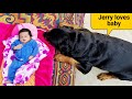 My dog wants baby||jerry is trying to irritate anshu||rottweiler dog.