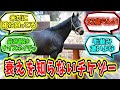 『衰えを知らないウイニングチケット』に対するみんなの反応