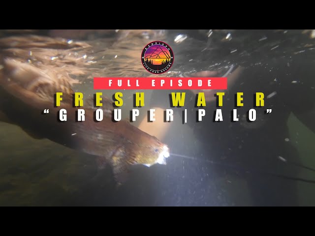 SE04EP031 - Ang ISDANG PALO! Fresh Water Grouper - San Pablo City, Laguna class=