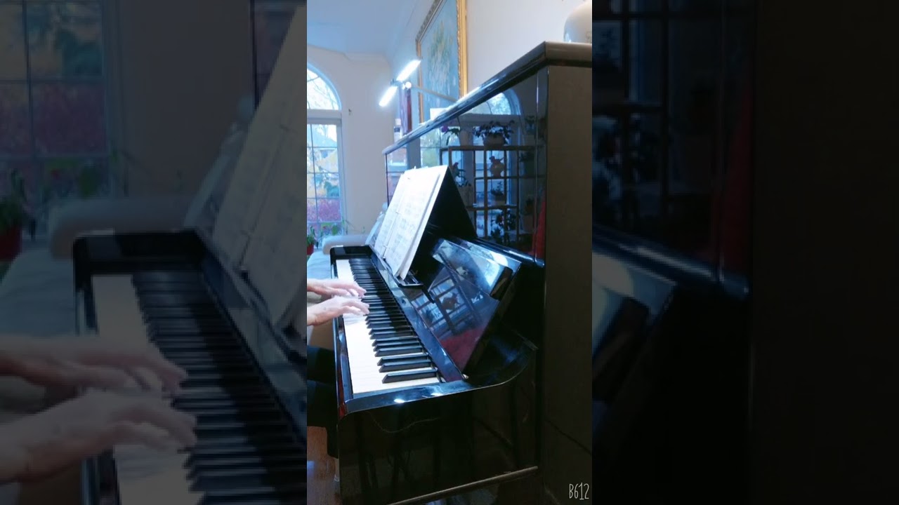 Hui's Piano 练习曲 51 YouTube