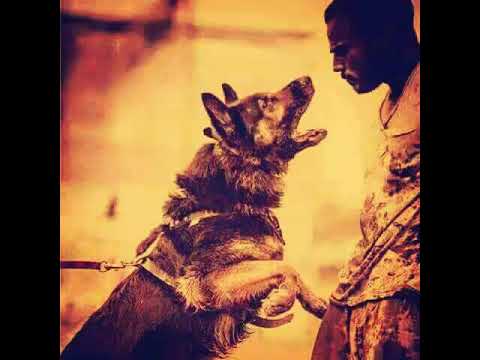 يوسف المهيمزي 1 