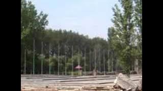 Auschwitz - Birkenau : Krematorium 2